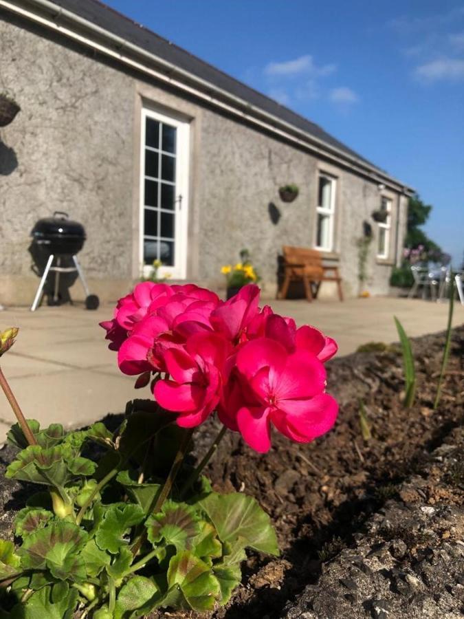 Cullybackey Ballyconnelly Cottages, Galgorm Area מראה חיצוני תמונה